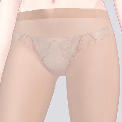 ナイロン ナチュラルベージュ 20D の下のレース